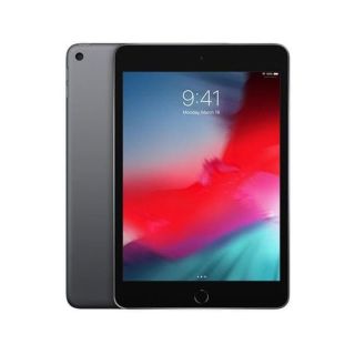 Refurbished Apple iPad Mini 5th Gen (A2124)/64GB/3GB RAM/EE/Space Grey/B (2019)